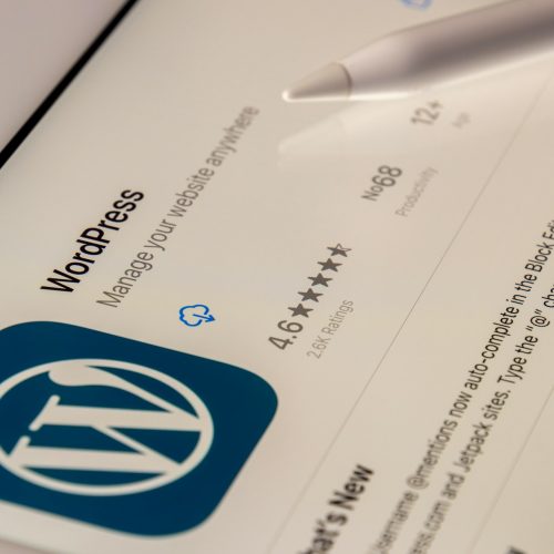 Top Reasons to Hire WordPress Developers for Custom Website Solutions