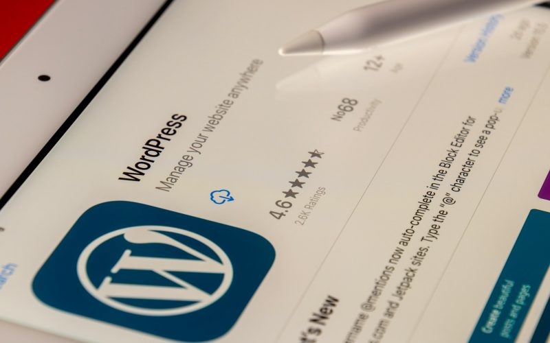 Top Reasons to Hire WordPress Developers for Custom Website Solutions