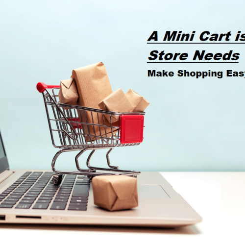 How a Mini Cart Transformed My Store’s Shopping Experience