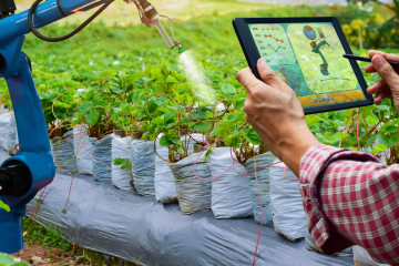 A.I. in Agriculture: Monitoring Animals in Real Time.